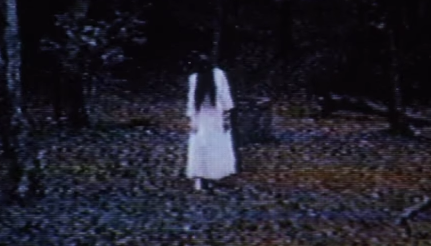 The Girl in the Well: The Ring and Japanese Ghost Stories